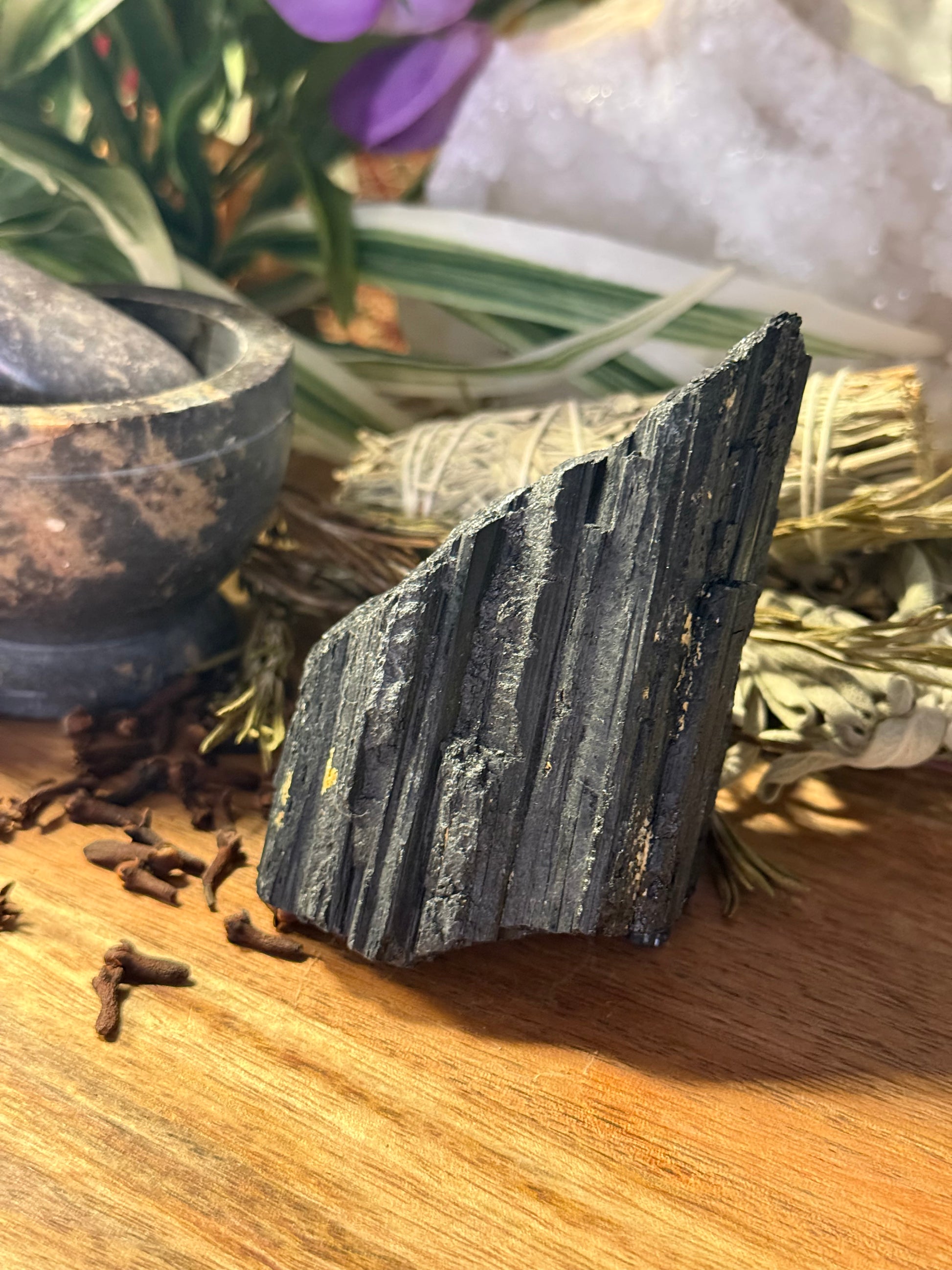 Raw Black Tourmaline on a wooden surface with plants and stones in the background